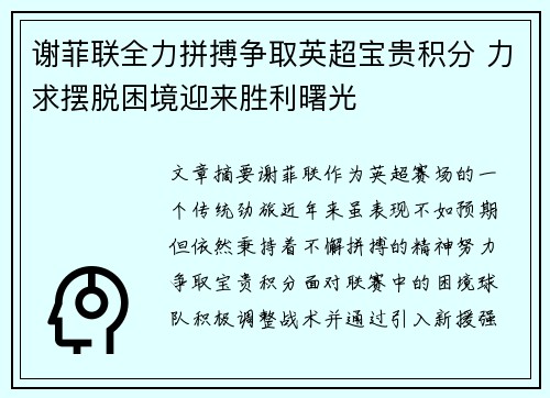 谢菲联全力拼搏争取英超宝贵积分 力求摆脱困境迎来胜利曙光